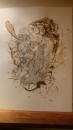 http://partages.hautetfort.com/media/02/00/428065211.jpeg